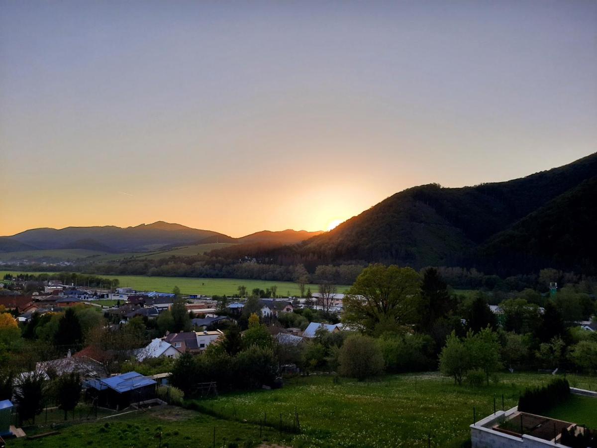Vila Viktoria Rajecké Teplice المظهر الخارجي الصورة